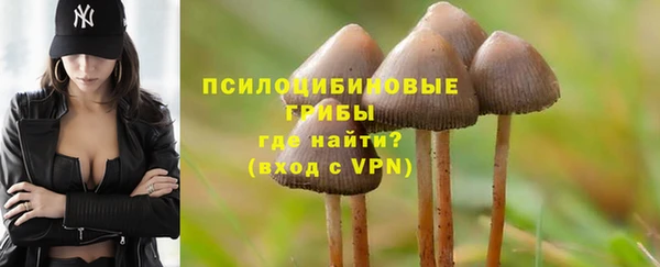 ешки Пересвет