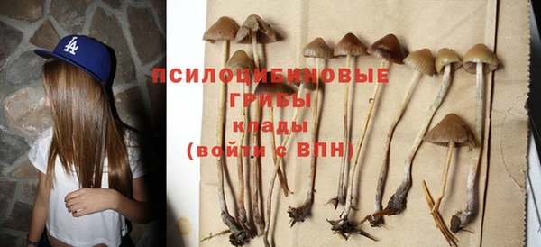ешки Пересвет