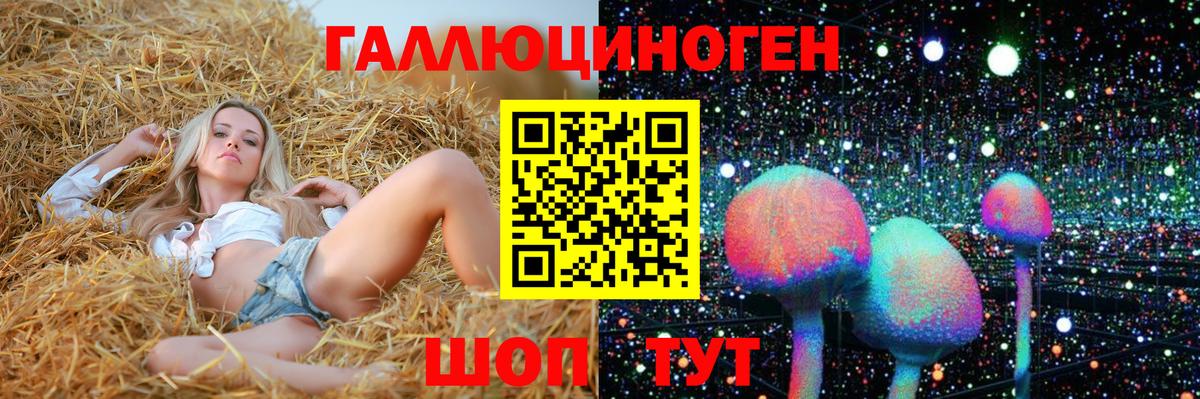 Оренбург  Псилоцибиновые грибы Cubensis  Вход с VPN 